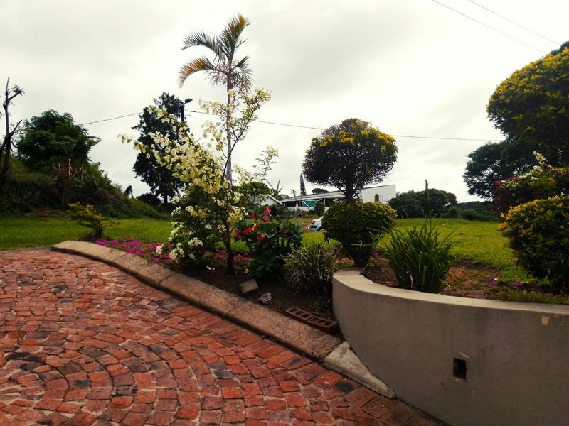 A well-maintained garden area featuring a curved concrete retaining wall and a decorative brick-paved driveway leading towards the property.
