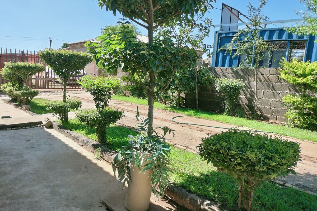 Hidden Gem in a very quiet Neighborhood - Photo 4