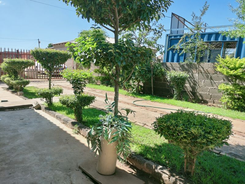 A landscaped garden area featuring manicured shrubs, a central tree, concrete pathways, and a perimeter boundary wall.