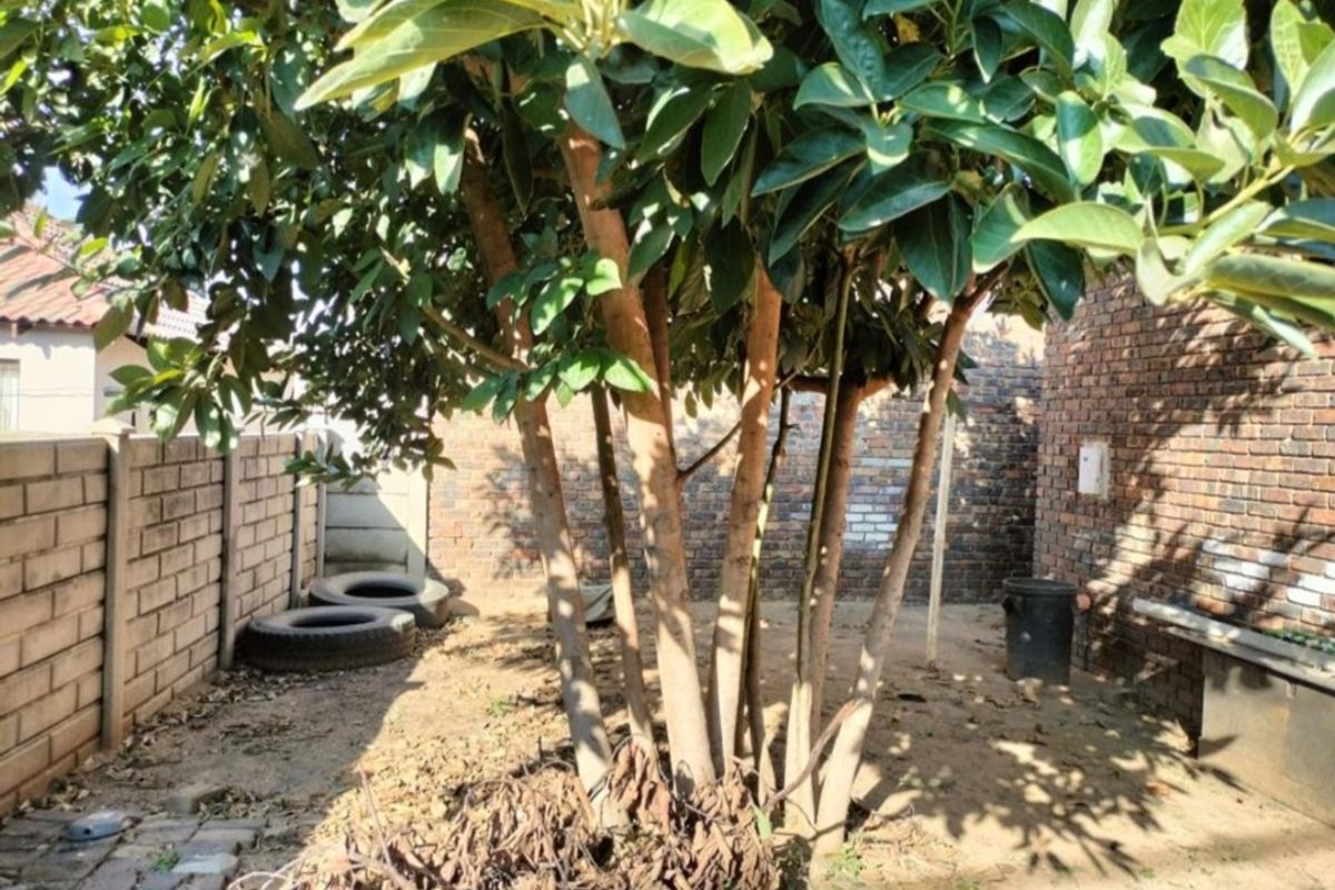 Investment Opportunity - Photo 5