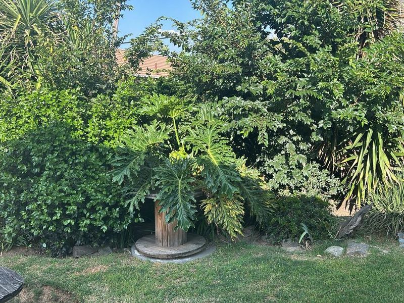 Spacious 4-Bedroom Family Home with Pool & Entertainment Area - Photo 7