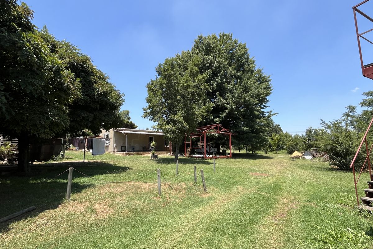 Small Holding for sale - Photo 3