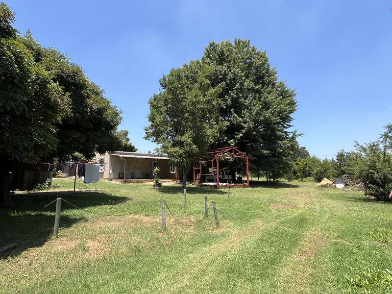 Small Holding for sale - Photo 3