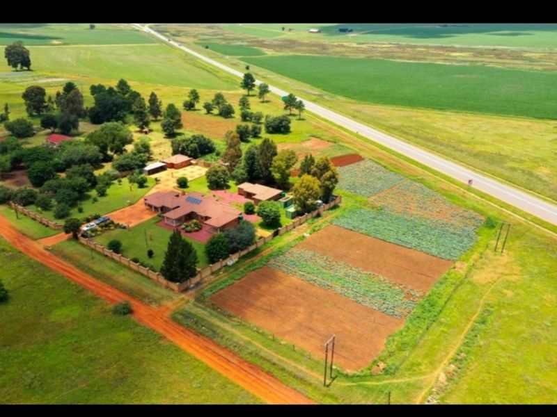 Smallholding For Sale In Springs - Photo 7