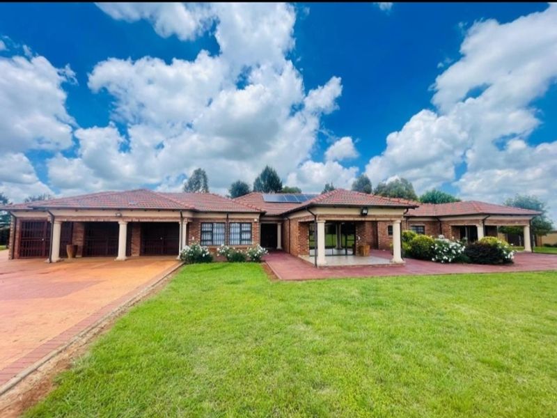 Smallholding For Sale In Springs - Photo 4