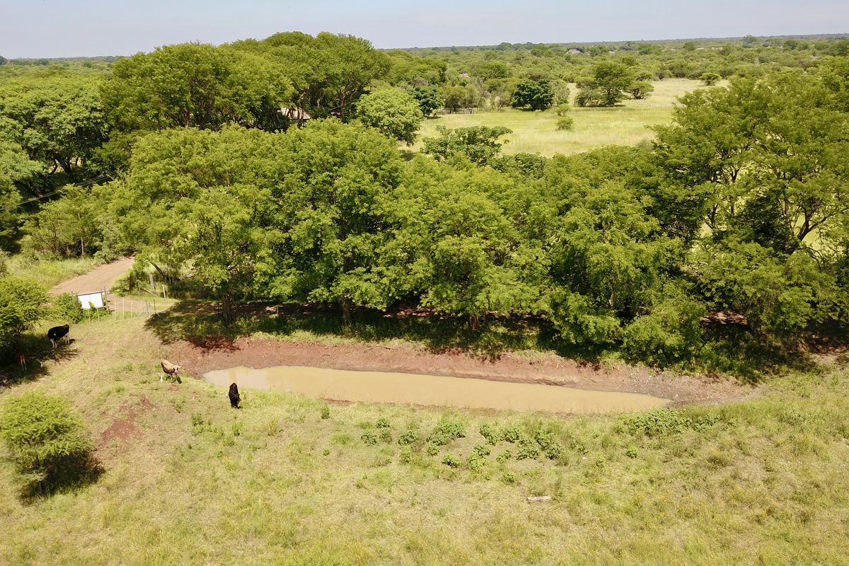 Your Private Bushveld Homestead - Photo 5