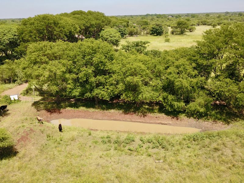 Your Private Bushveld Homestead - Photo 5
