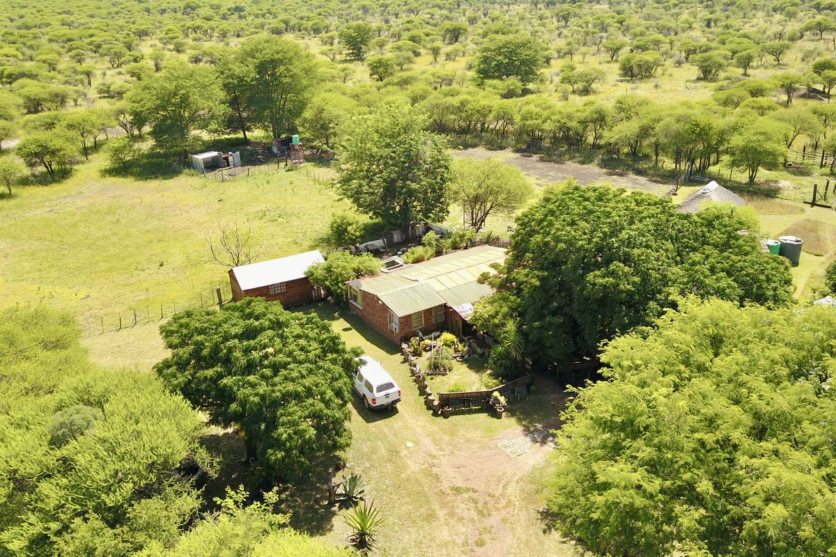 Your Private Bushveld Homestead - Photo 3