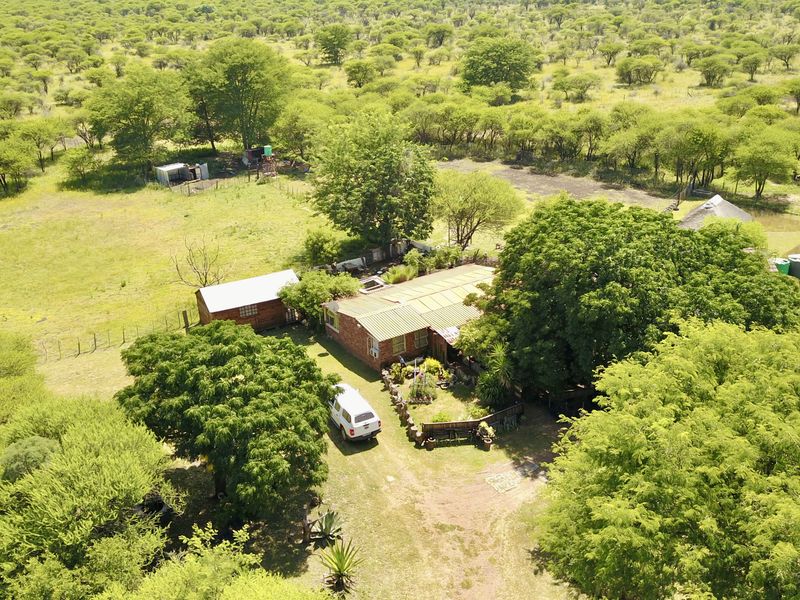 Your Private Bushveld Homestead - Photo 3