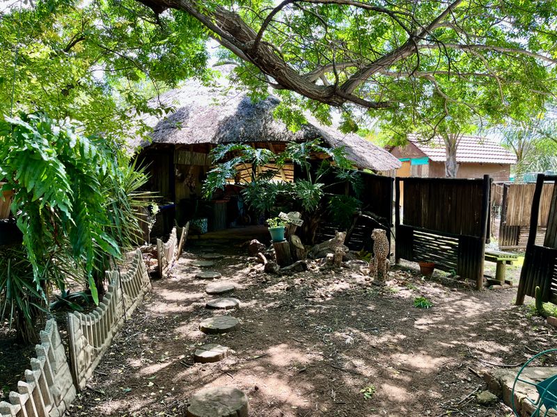 Your Private Bushveld Homestead - Photo 10