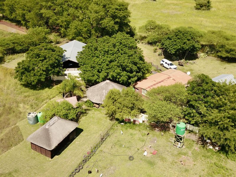 Your Private Bushveld Homestead - Photo 8