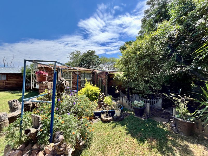 Your Private Bushveld Homestead - Photo 9