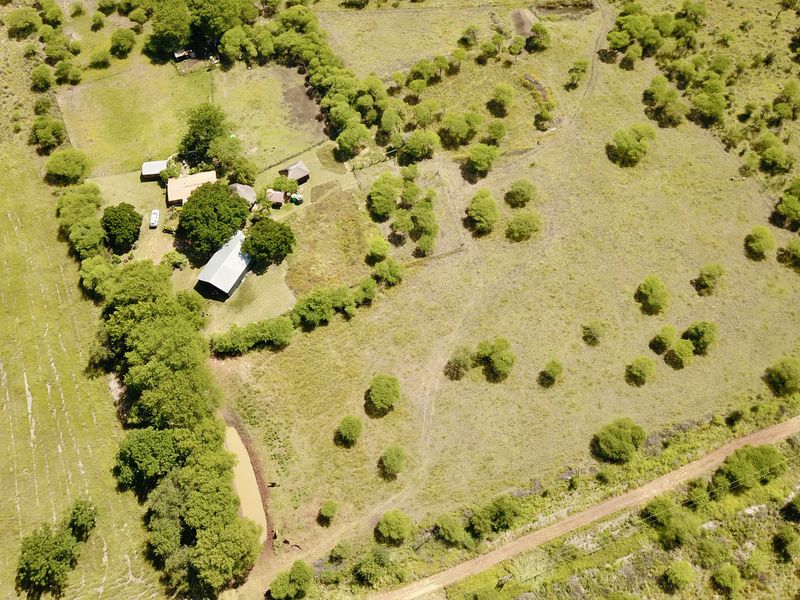 Your Private Bushveld Homestead - Photo 7