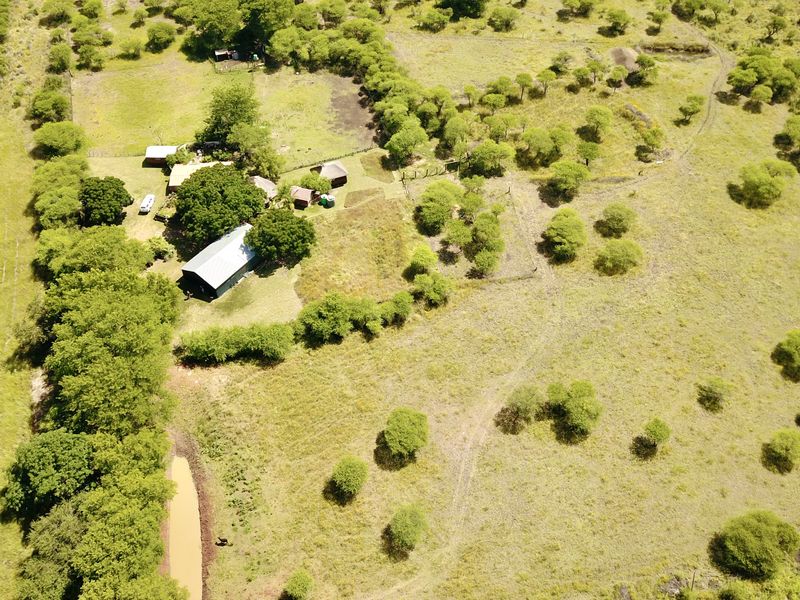 Your Private Bushveld Homestead - Photo 6