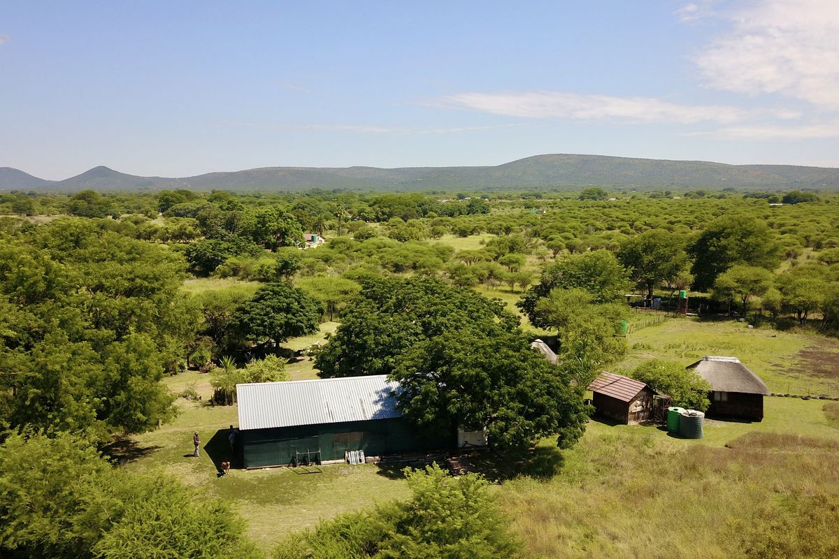 Your Private Bushveld Homestead - Photo 4