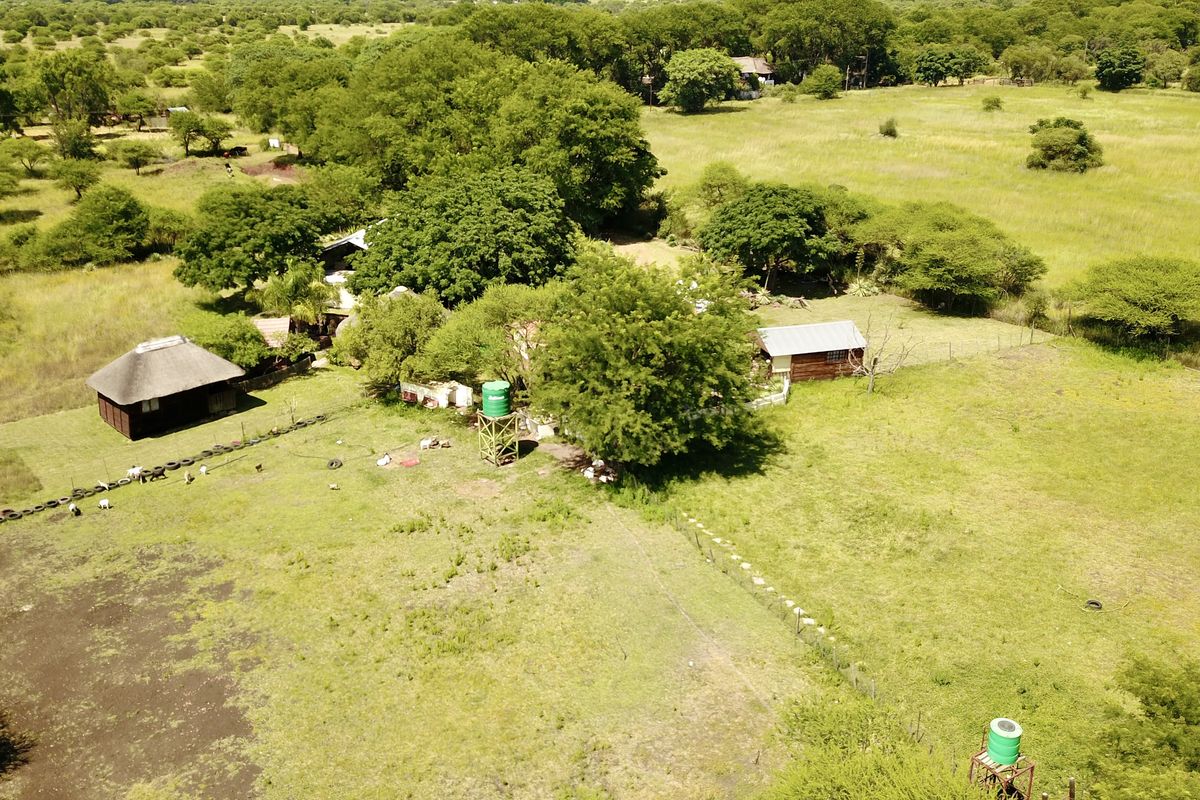 Your Private Bushveld Homestead - Photo 2