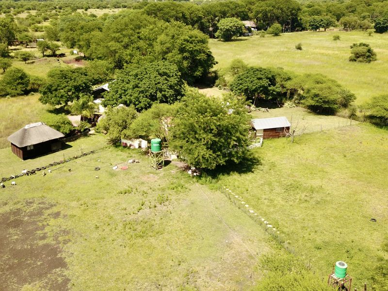 Your Private Bushveld Homestead - Photo 2