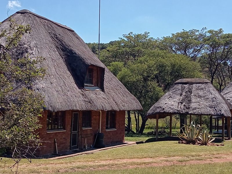 38-hectare farm offers a established, privately operated wildlife rehabilitation and conservation - Photo 9