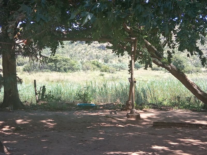 38-hectare farm offers a established, privately operated wildlife rehabilitation and conservation - Photo 7