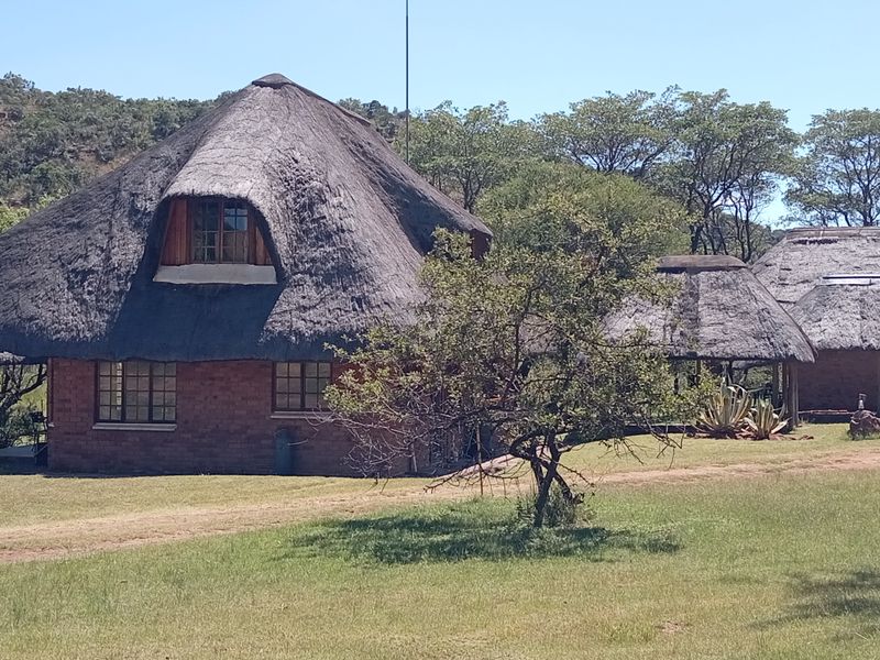 38-hectare farm offers a established, privately operated wildlife rehabilitation and conservation - Photo 2