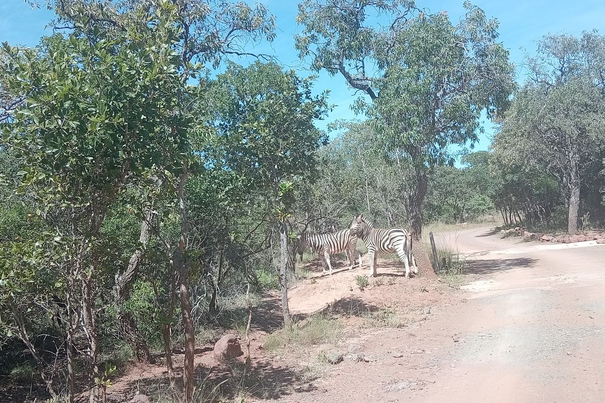 38-hectare farm offers a established, privately operated wildlife rehabilitation and conservation - Photo 5