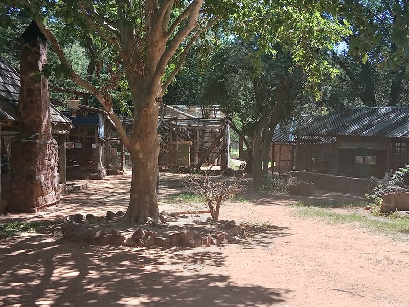 38-hectare farm offers a established, privately operated wildlife rehabilitation and conservation - Photo 8