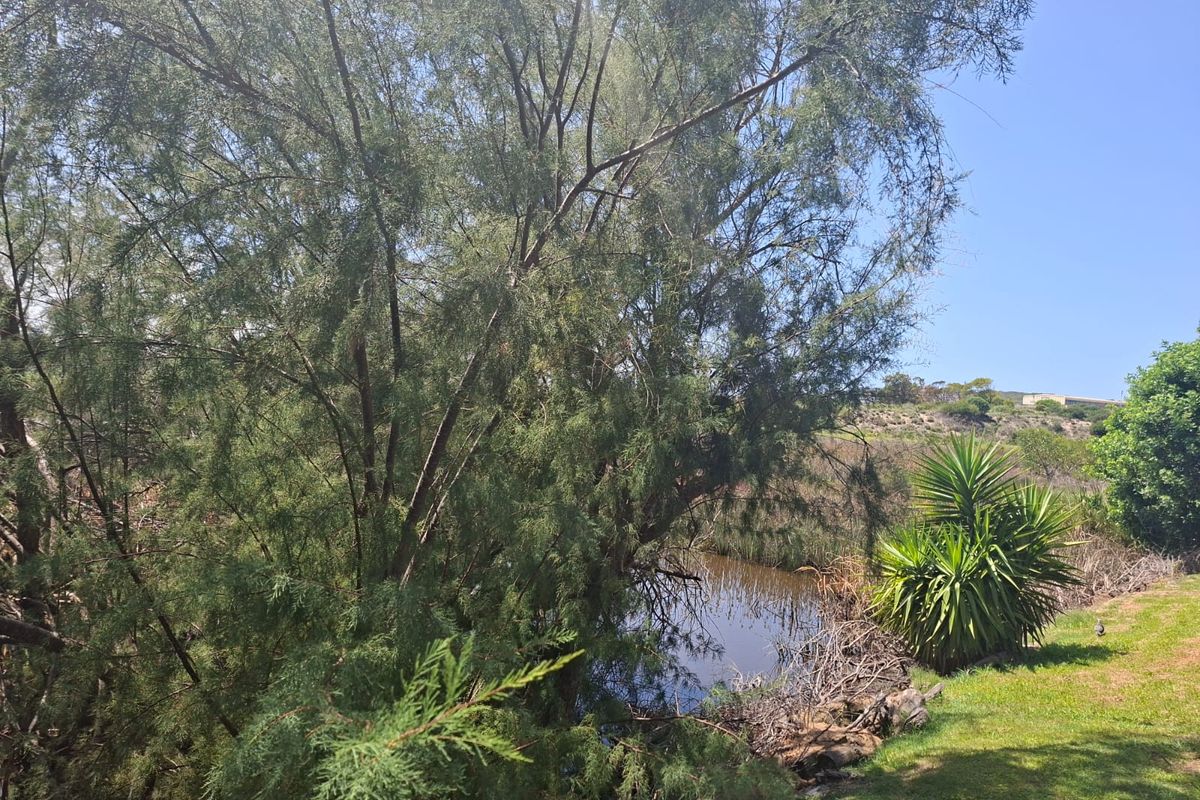 Holiday feeling year-round - Photo 5