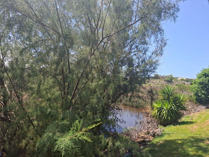 Holiday feeling year-round - Photo 5