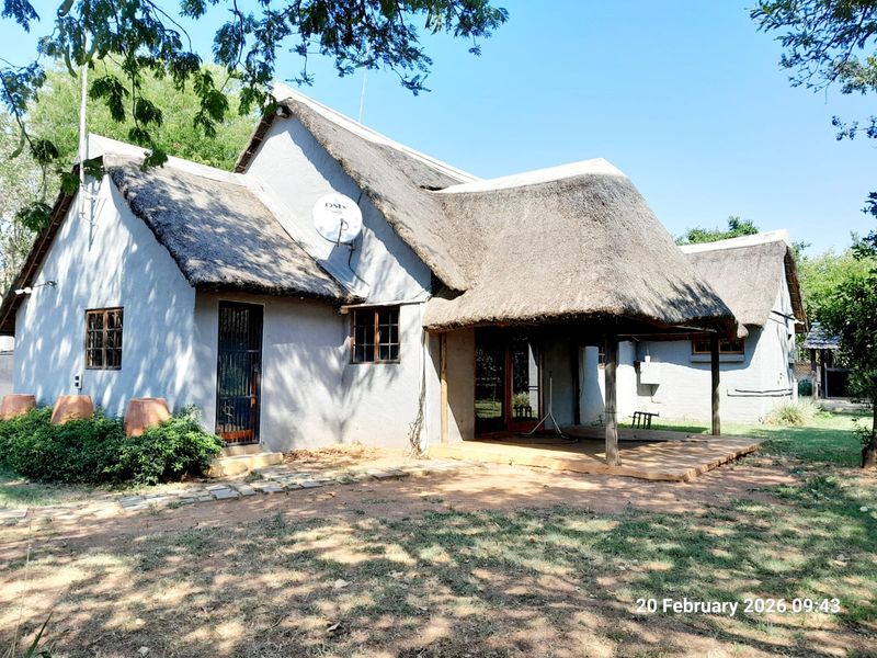 PIGGERY for 2000 pigs, CATTLE kraal, CHICKEN free range, HORSE STABLE - 3 Bedroom house - Photo 3