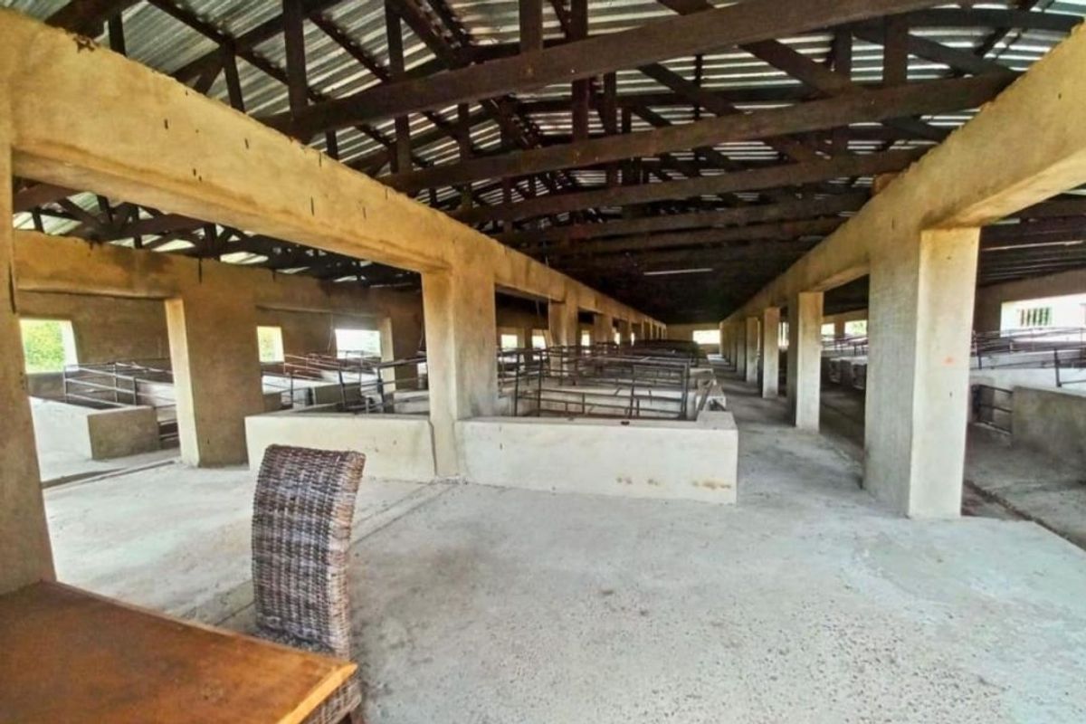 PIGGERY for 2000 pigs, CATTLE kraal, CHICKEN free range, HORSE STABLE - 3 Bedroom house - Photo 2