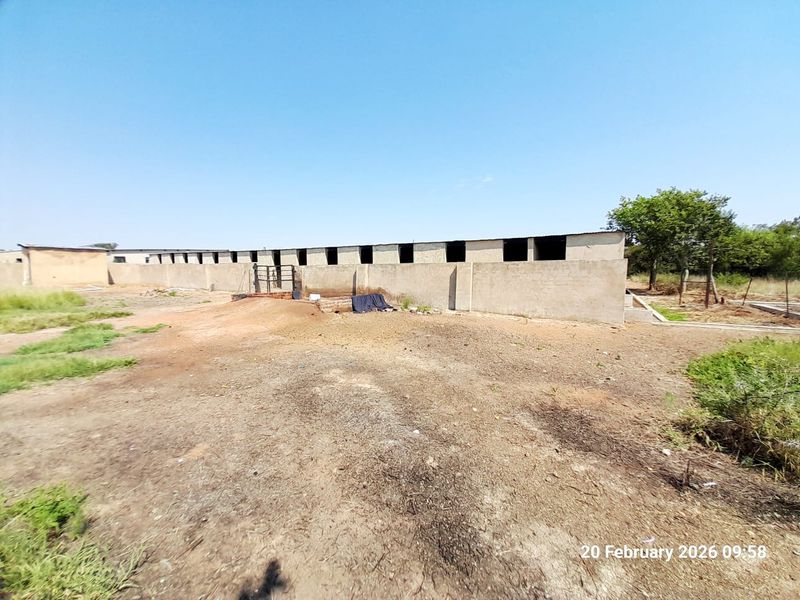 PIGGERY for 2000 pigs, CATTLE kraal, CHICKEN free range, HORSE STABLE - 3 Bedroom house - Photo 9