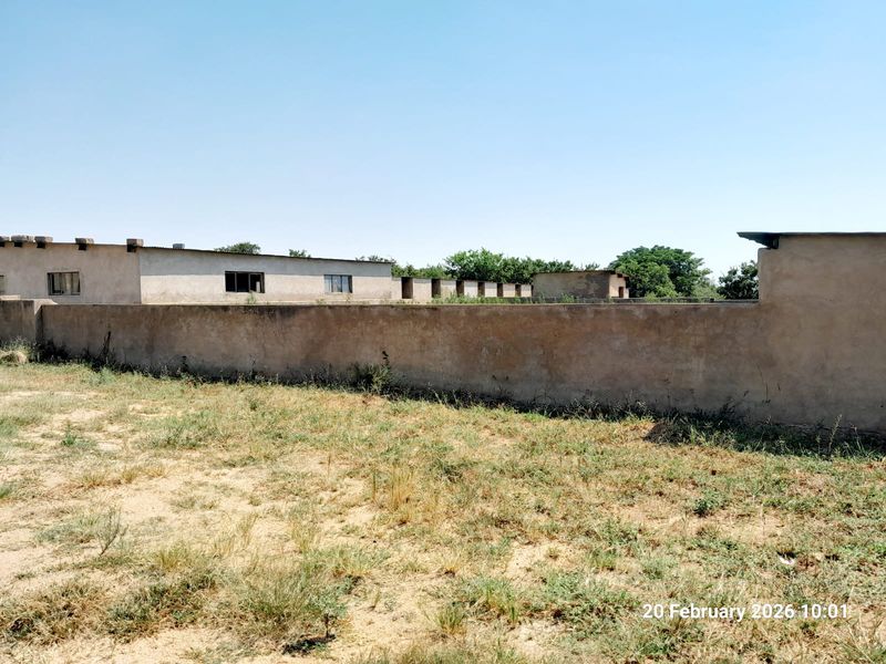 PIGGERY for 2000 pigs, CATTLE kraal, CHICKEN free range, HORSE STABLE - 3 Bedroom house - Photo 8