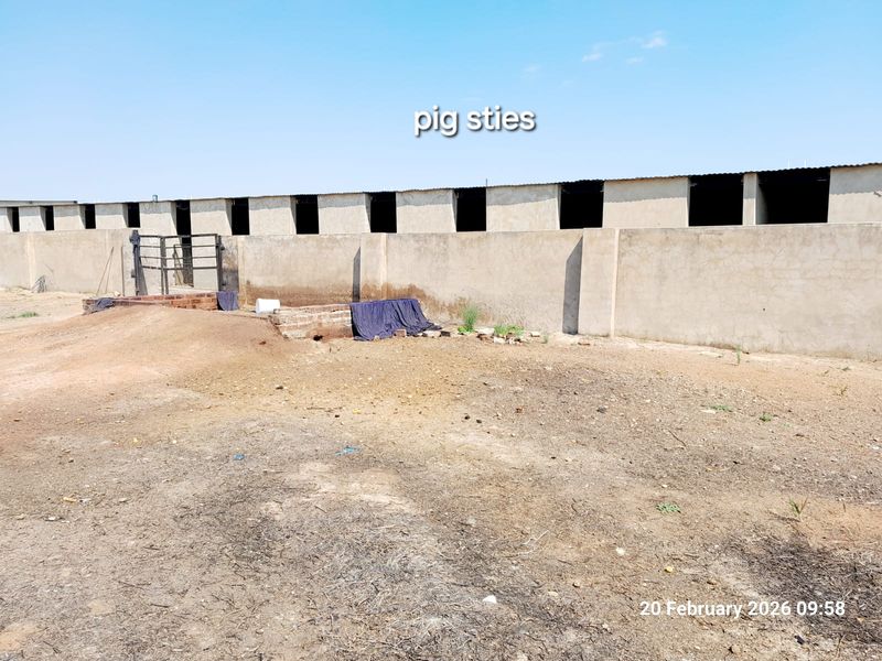 PIGGERY for 2000 pigs, CATTLE kraal, CHICKEN free range, HORSE STABLE - 3 Bedroom house - Photo 7