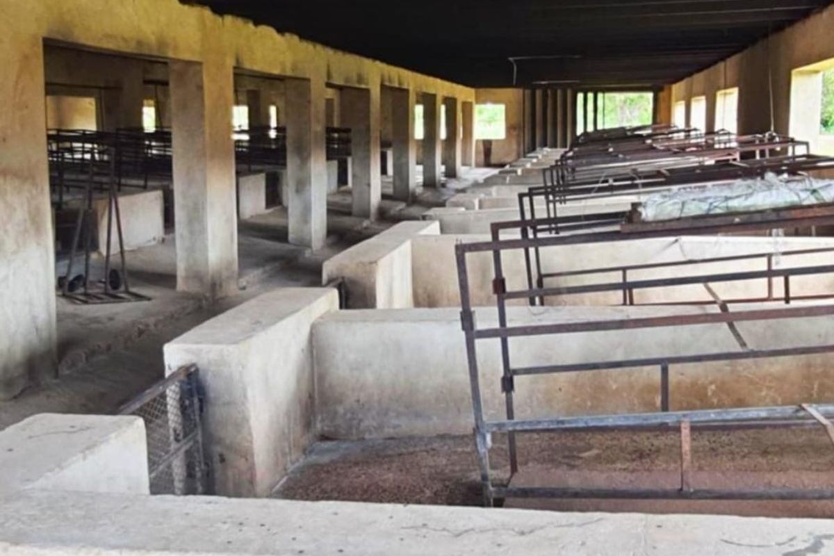 PIGGERY for 2000 pigs, CATTLE kraal, CHICKEN free range, HORSE STABLE - 3 Bedroom house - Photo 5