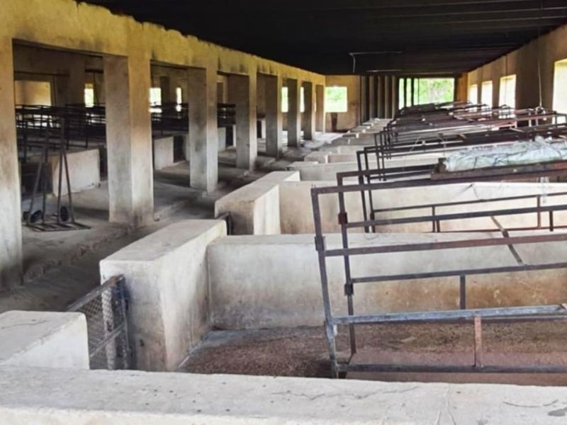 PIGGERY for 2000 pigs, CATTLE kraal, CHICKEN free range, HORSE STABLE - 3 Bedroom house - Photo 5