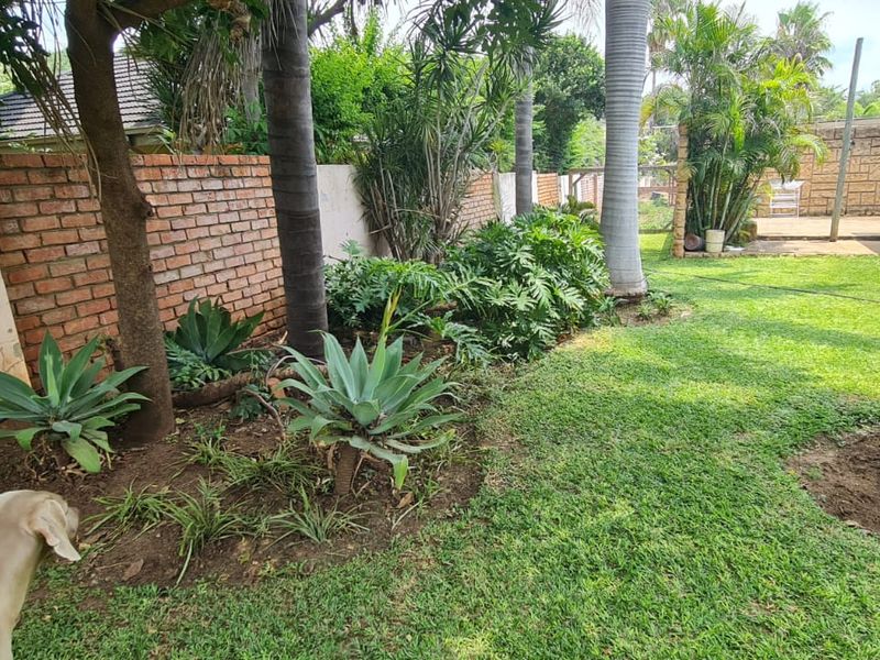 Spacious Family Living on an Expansive Stand with Flatlet & Excellent Extras - Photo 7