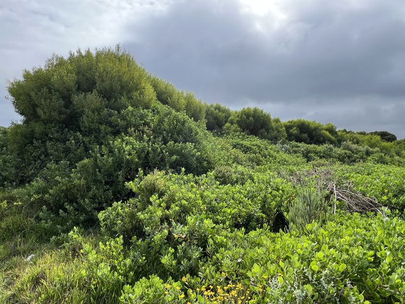 The Ultimate Corner Canvas: 892m2 - Photo 2