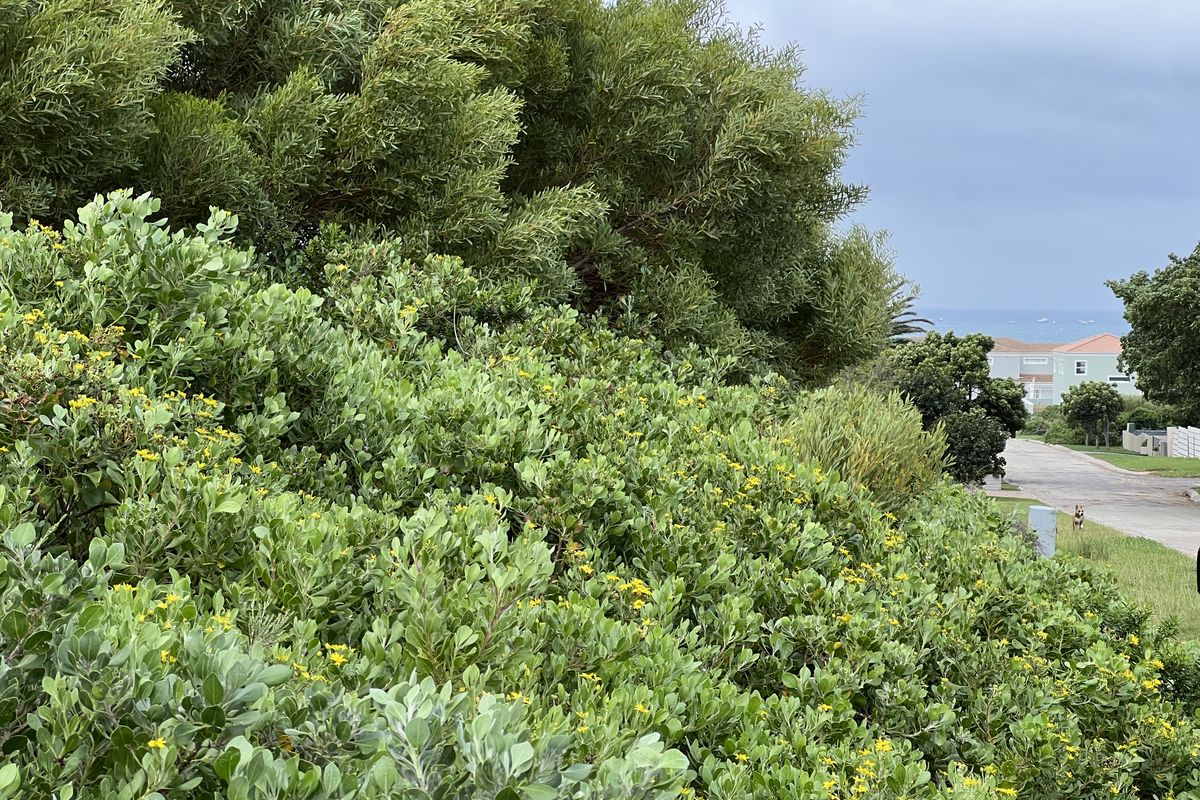 The Ultimate Corner Canvas: 892m2 - Photo 5