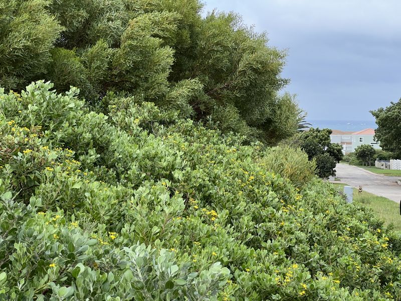 The Ultimate Corner Canvas: 892m2 - Photo 5