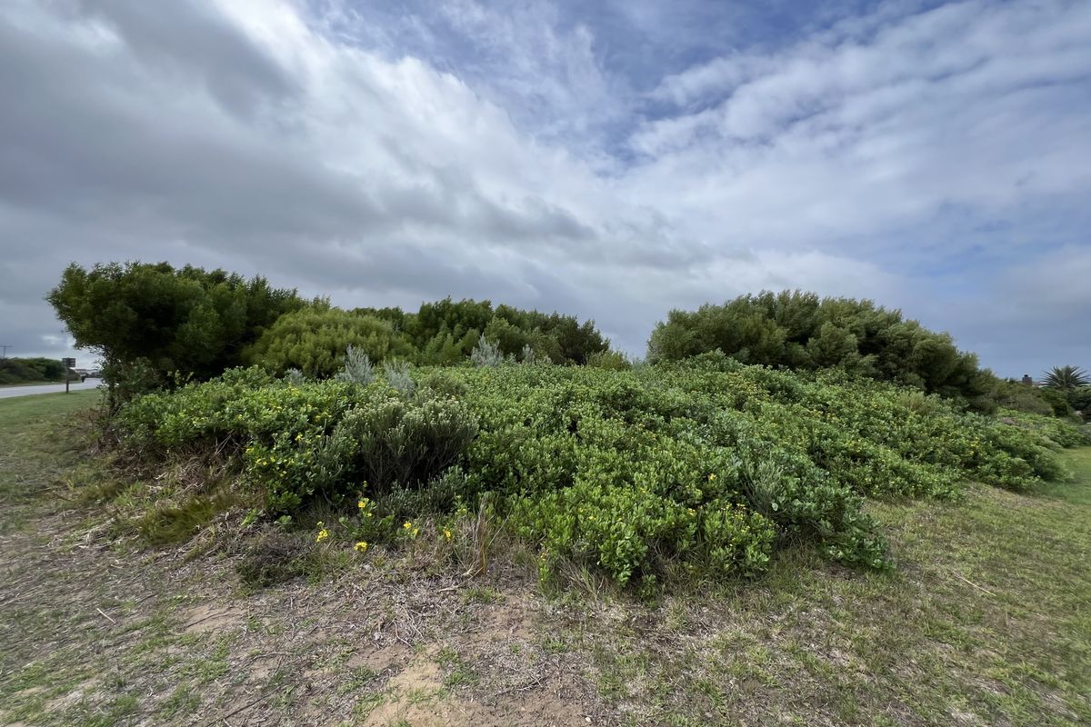 The Ultimate Corner Canvas: 892m2 - Photo 4