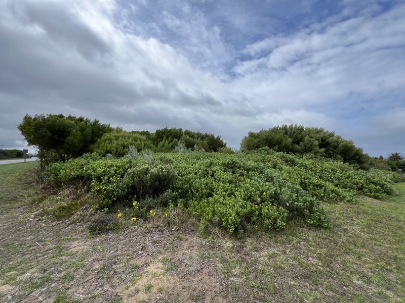 The Ultimate Corner Canvas: 892m2 - Photo 4