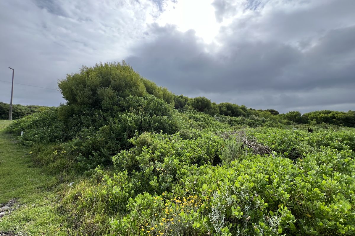 The Ultimate Corner Canvas: 892m2 - Photo 3