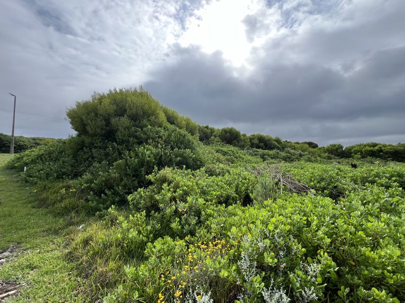 The Ultimate Corner Canvas: 892m2 - Photo 3