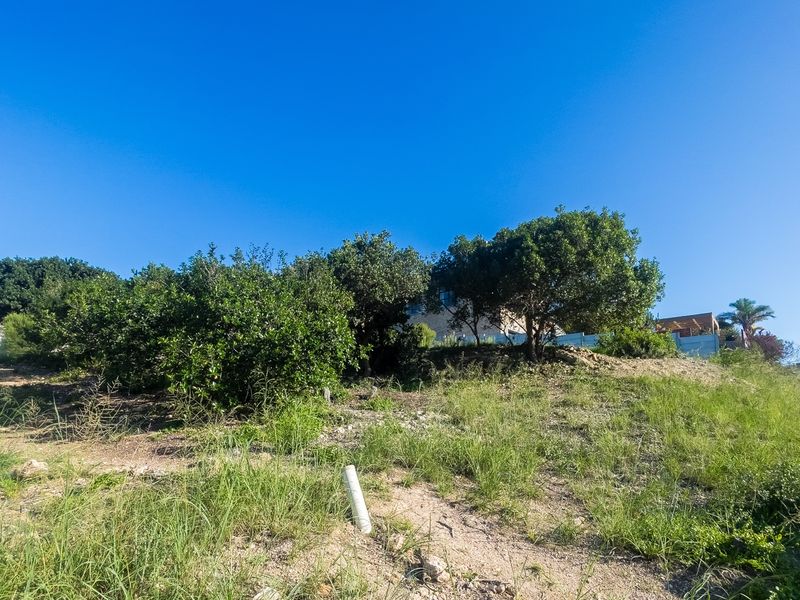 Slightly Elevated Stand with Approved Plans & Stunning Views – Build Without Delay! - Photo 6