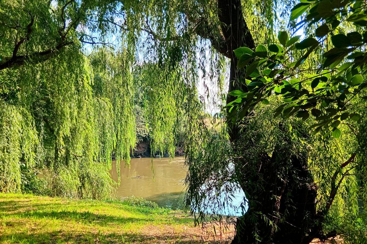 1 OF 2 AGRICULTURAL HOLDINGS FOR SALE IN Glen Donald. - Photo 3