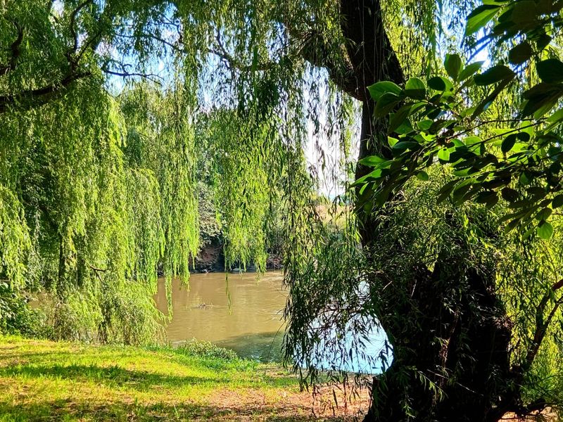 1 OF 2 AGRICULTURAL HOLDINGS FOR SALE IN Glen Donald. - Photo 3