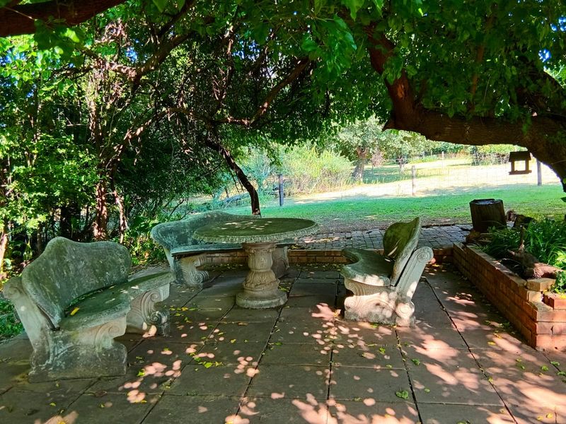 1 OF 2 AGRICULTURAL HOLDINGS FOR SALE IN Glen Donald. - Photo 2