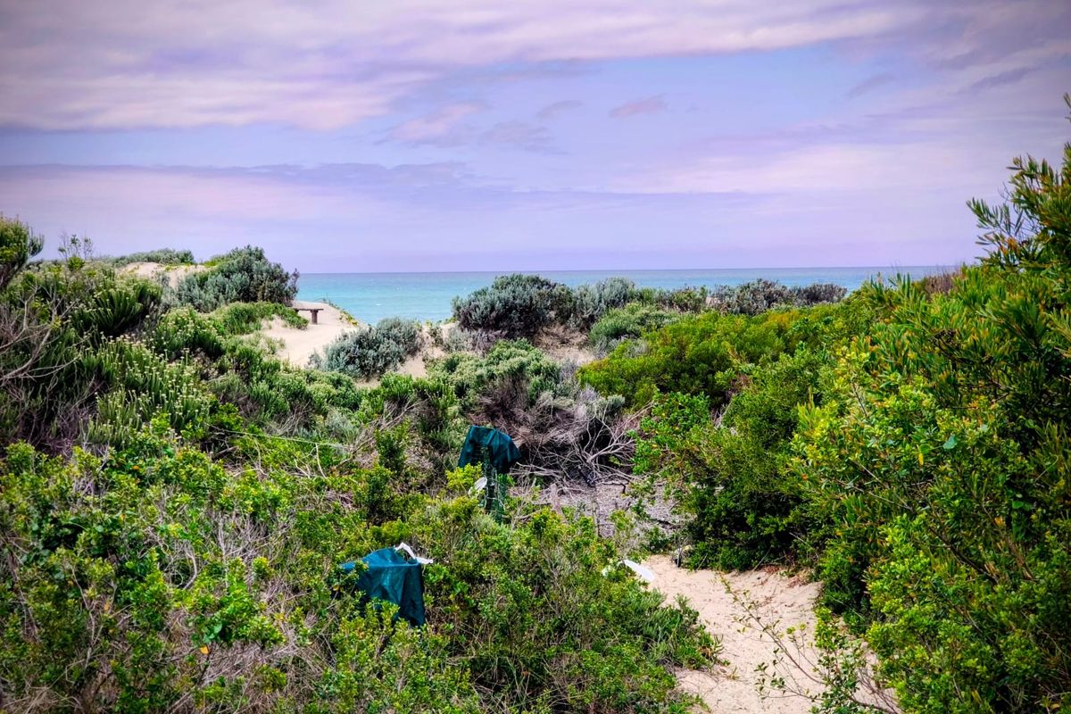 EXCLUSIVE SOLE MANDATE - PRIME DEVELOPMENT OPPORTUNITY IN PARADISE BEACH - Photo 4