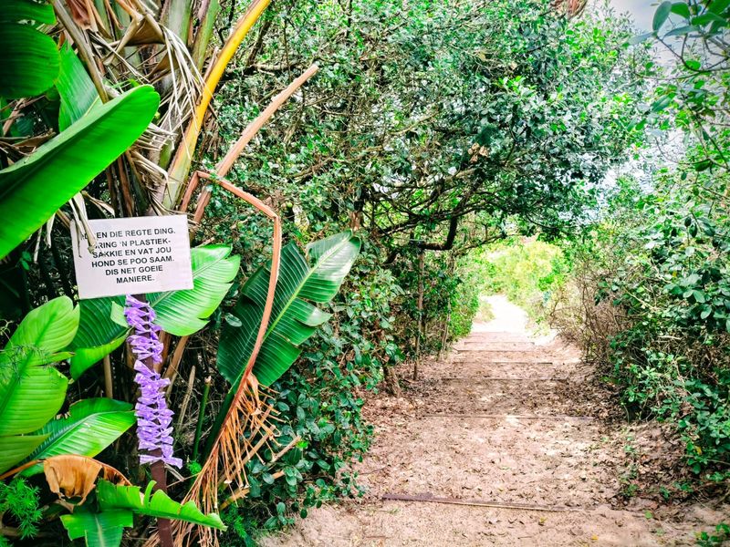 A natural sand pathway winding through dense coastal vegetation, providing access to the property grounds.