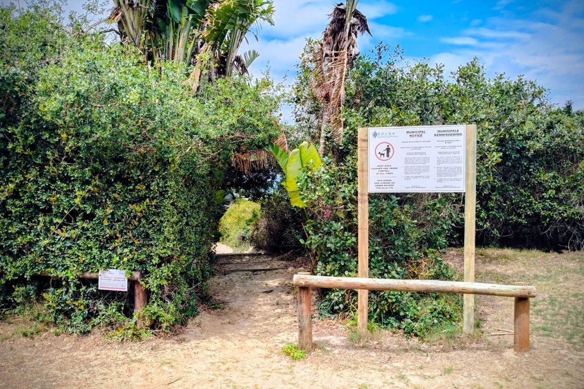 Prime 768m2 Level Stand – 650m From the Waves - Photo 4